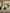 Ivory Sand Mosaic Silk Textured Luxury Carpet